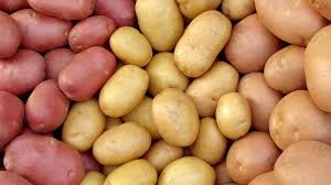 PAPAS